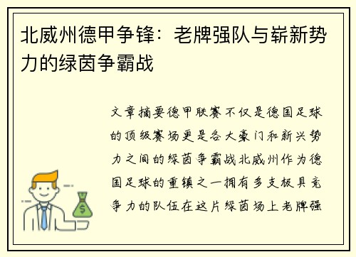 北威州德甲争锋：老牌强队与崭新势力的绿茵争霸战